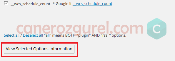 Clean_Options_ayari