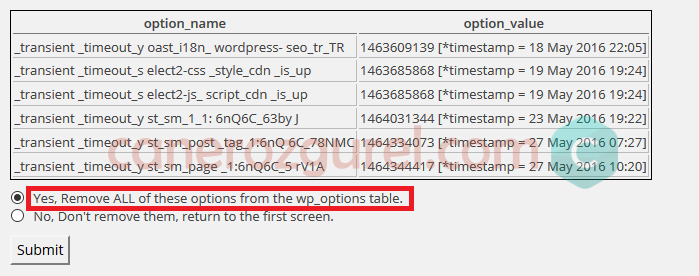 Clean_Options_sil