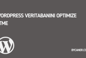 WordPress Veritabanını Optimize Etme