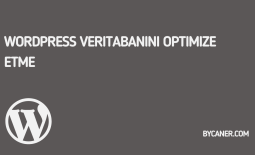 WordPress Veritabanını Optimize Etme