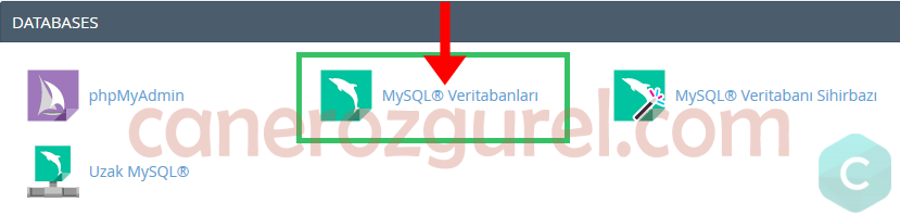 cpanelveritabani1