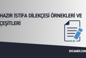 Hazır İstifa Dilekçesi Örnekleri ve Çeşitleri