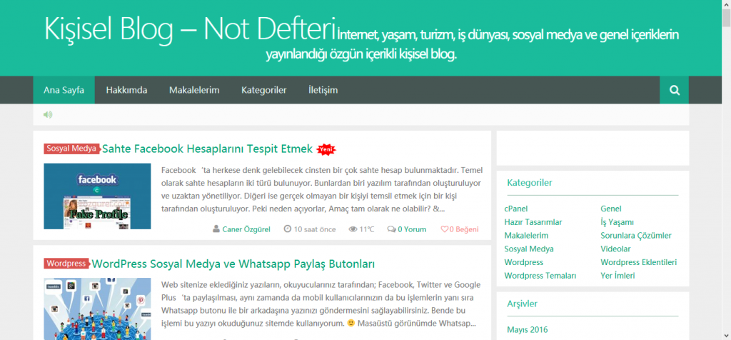 turkce gorunum
