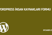 WordPress İnsan Kaynakları Formu