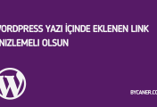 WordPress Yazı İçinde Eklenen Link Önizlemeli Olsun