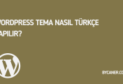 WordPress Tema Nasıl Türkçe Yapılır?