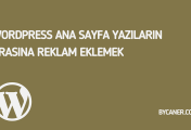 WordPress Ana Sayfa Yazıların Arasına Reklam Eklemek