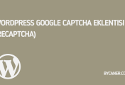 WordPress Google Captcha Eklentisi (reCAPTCHA)