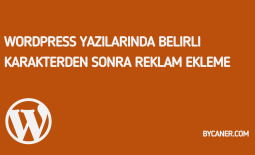 WordPress Yazılarında Belirli Karakterden Sonra Reklam Ekleme