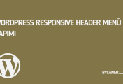 WordPress Responsive Header Menü Yapımı