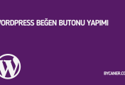 WordPress Beğen Butonu Yapımı