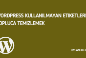 WordPress Kullanılmayan Etiketleri Topluca Temizlemek