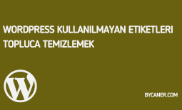 WordPress Kullanılmayan Etiketleri Topluca Temizlemek
