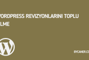 WordPress Revizyonlarını Toplu Silme