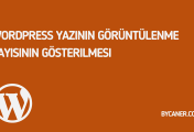 WordPress Yazının Görüntülenme Sayısının Gösterilmesi