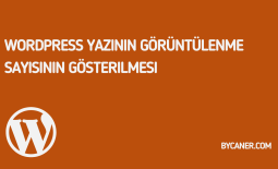 WordPress Yazının Görüntülenme Sayısının Gösterilmesi