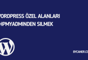 WordPress Özel Alanları Phpmyadminden Silmek