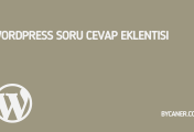 WordPress Soru Cevap Eklentisi