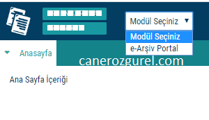 e-arsiv-secim