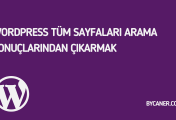 WordPress Tüm Sayfaları Arama Sonuçlarından Çıkarmak