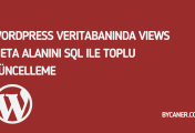 WordPress Veritabanında Views Meta Alanını SQL ile Toplu Güncelleme
