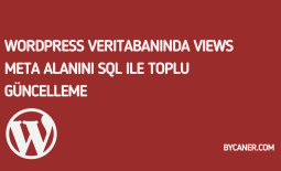 WordPress Veritabanında Views Meta Alanını SQL ile Toplu Güncelleme