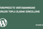 WordPress’te Veritabanındaki Verileri Toplu Olarak Güncelleme