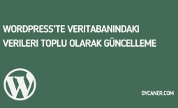 WordPress’te Veritabanındaki Verileri Toplu Olarak Güncelleme
