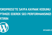 WordPress’te Sayfa Kaynak Kodunu Optimize Ederek SEO Performansınızı Artırın